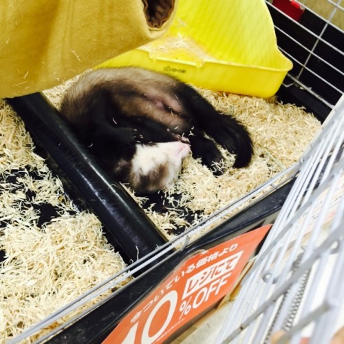 写真 2016-01-11 19 18 10