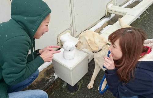 ファイル 2016-01-24 15 37 15