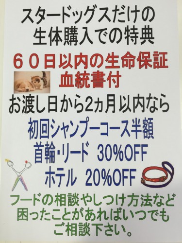 ファイル 2016-01-21 11 50 05