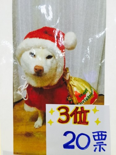 写真 2016-01-01 12 06 23