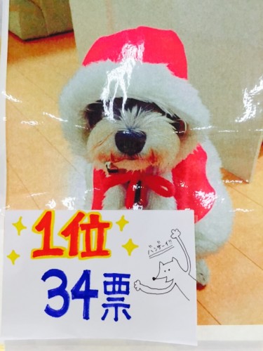 写真 2016-01-01 12 06 30