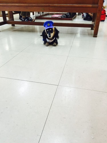 ファイル 2016-01-31 19 18 24