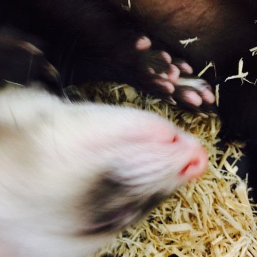 写真 2016-01-11 19 18 18