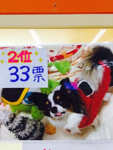 写真 2016-01-01 12 06 18