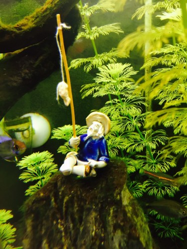 ファイル 2016-01-31 17 25 05