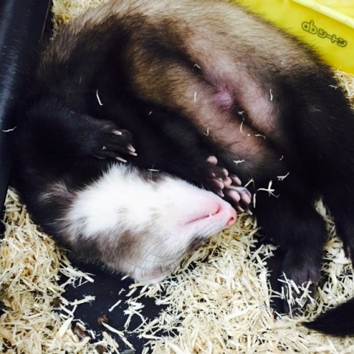 写真 2016-01-11 19 17 58