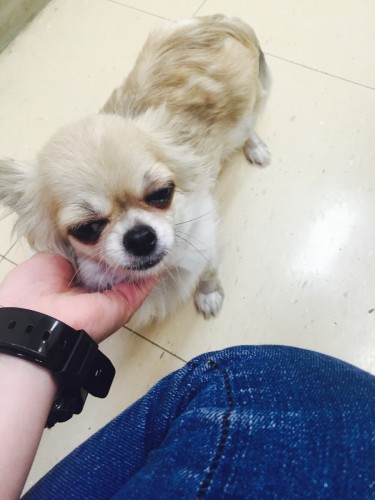 ファイル 2016-02-21 12 00 33