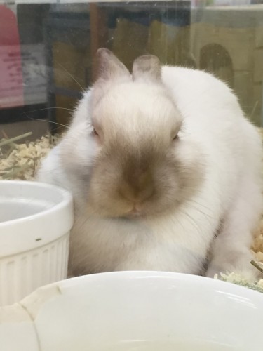 写真 2016-02-26 12 42 13