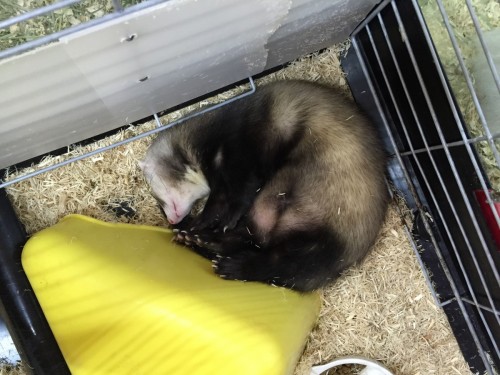 写真 2016-02-26 12 49 37