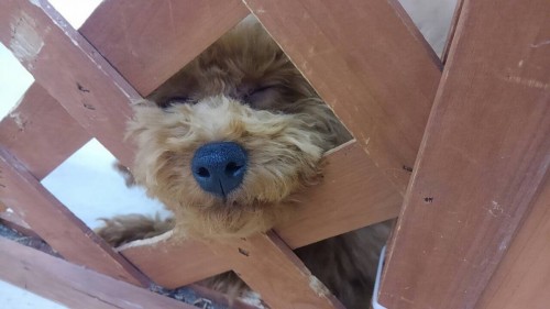 写真 2016-02-26 14 34 03