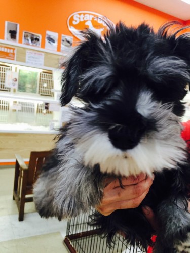 ファイル 2016-02-11 21 37 16