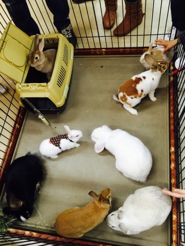 ファイル 2016-03-27 19 00 20