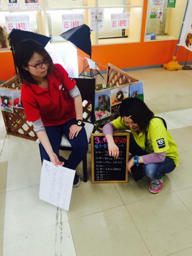 ファイル 2016-03-12 20 20 29