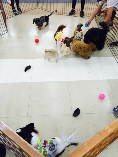 ファイル 2016-03-13 21 16 47