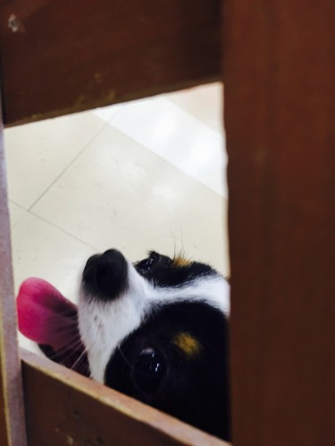 ファイル 2016-03-13 18 19 41