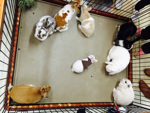 ファイル 2016-03-27 19 00 42