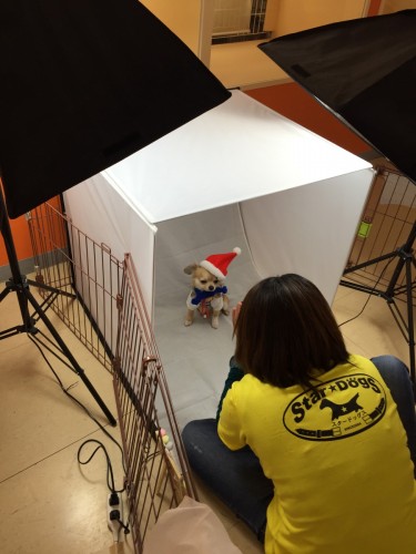 写真 2016-02-28 16 03 48