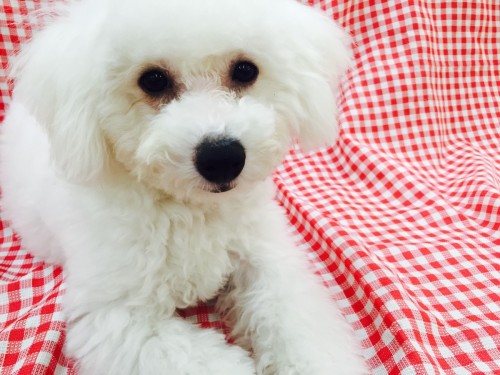 ファイル 2016-03-03 18 59 29