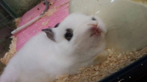 写真 2016-03-24 19 31 20