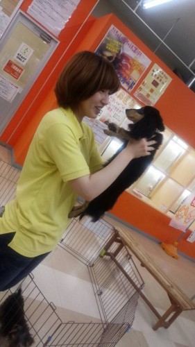 ファイル 2016-04-28 21 13 03