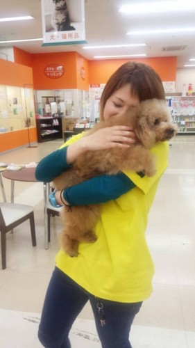 ファイル 2016-04-28 19 43 08