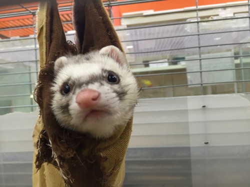 ファイル 2016-04-11 19 05 41