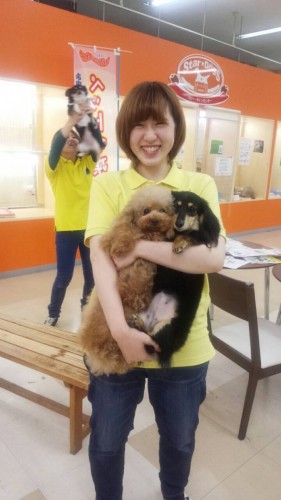 ファイル 2016-04-28 21 13 19