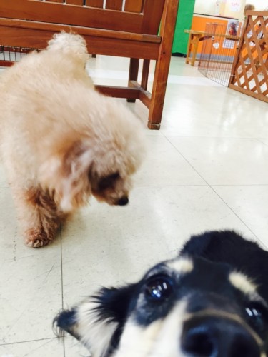 写真 2016-04-01 11 47 40