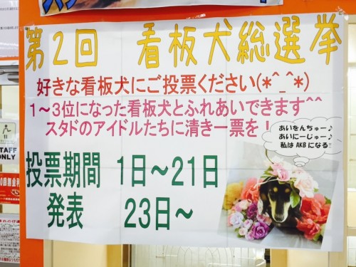 写真 2016-04-01 11 49 29