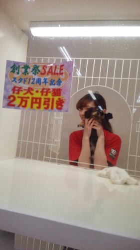 ファイル 2016-04-17 19 50 28