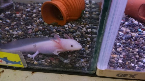 写真 2016-04-22 21 10 58