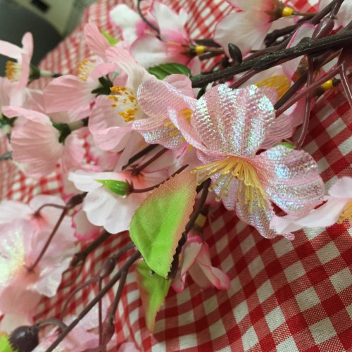 写真 2016-04-14 16 21 38