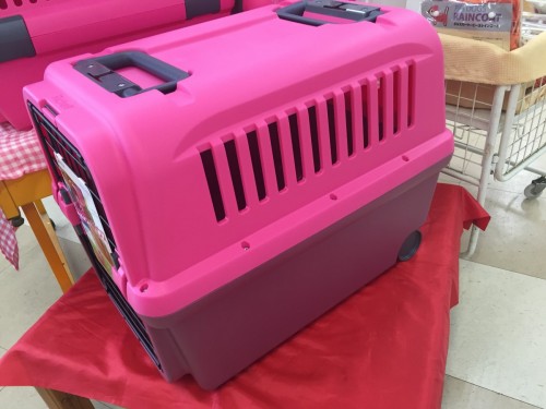 写真 2016-04-25 17 31 45