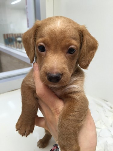 写真 2016-05-24 14 29 50