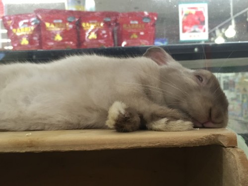 ファイル 2016-05-16 19 58 22