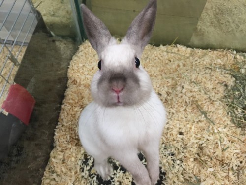 写真 2016-05-06 17 42 16