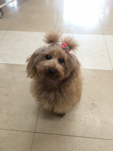 ファイル 2016-05-30 19 57 20