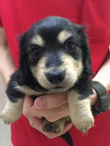 ファイル 2016-05-26 21 20 17