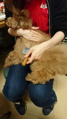 ファイル 2016-05-28 21 34 07