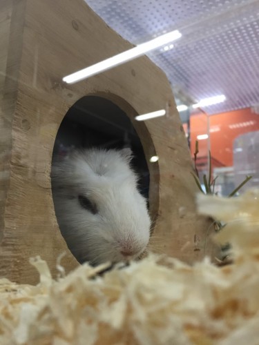 ファイル 2016-05-16 19 59 20