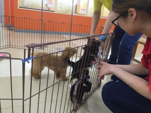 ファイル 2016-05-14 20 37 17