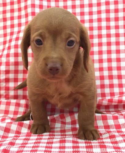 写真 2016-05-23 11 48 34 (1)