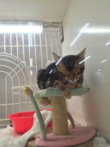 ファイル 2016-05-16 19 59 40