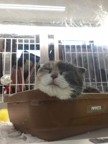 ファイル 2016-05-16 20 00 01