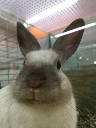 ファイル 2016-05-16 20 00 34