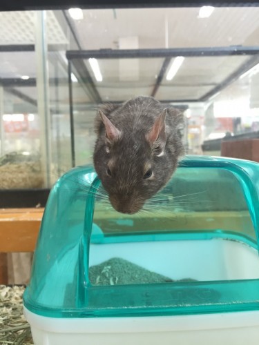 写真 2016-05-19 13 51 27