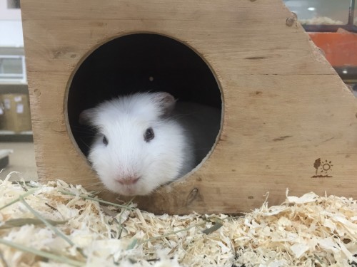 写真 2016-05-06 19 17 03