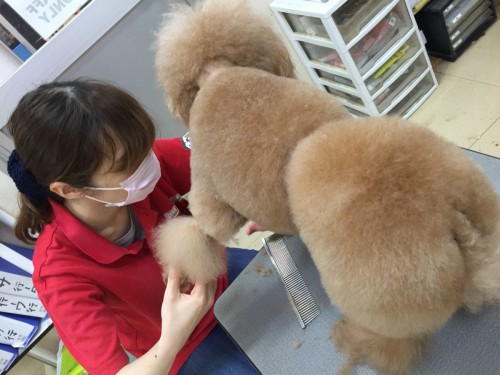 写真 2016-06-16 18 19 24