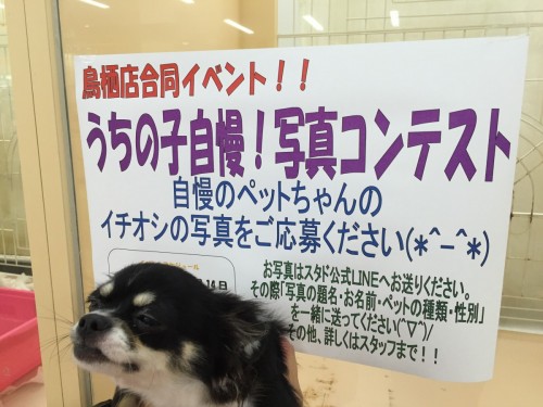 ファイル 2016-06-29 12 43 26