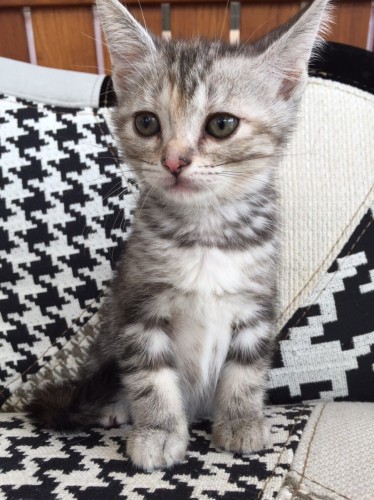 写真 2016-06-24 14 50 34